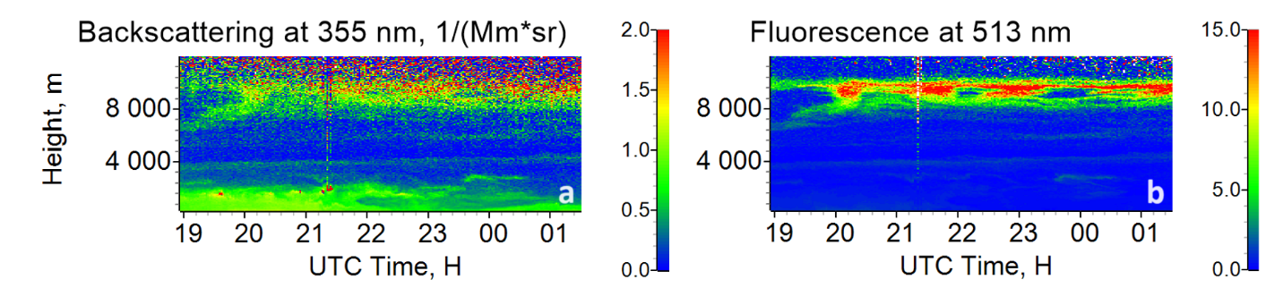 Техническое изображение 1